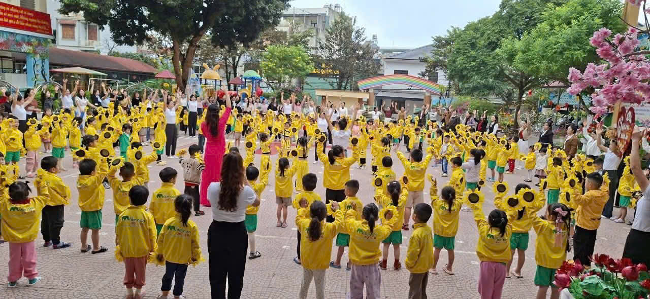 ảnh hiển thị đầu